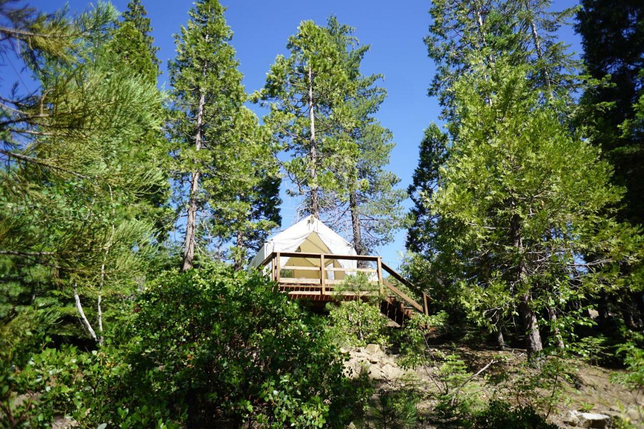 Shaver Lake Village Hotel Екстериор снимка